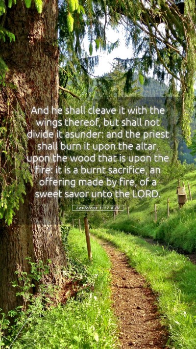 Picture 05 - Leviticus 1:17 KJV Mobile Phone Wallpaper - And he shall cleave it with the wings thereof, - Mobile Bible Verse Wallpaper