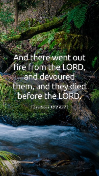 Picture 05 - Leviticus 10:2 KJV Mobile Phone Wallpaper - And there went out fire from the LORD, and - Mobile Bible Verse Wallpaper