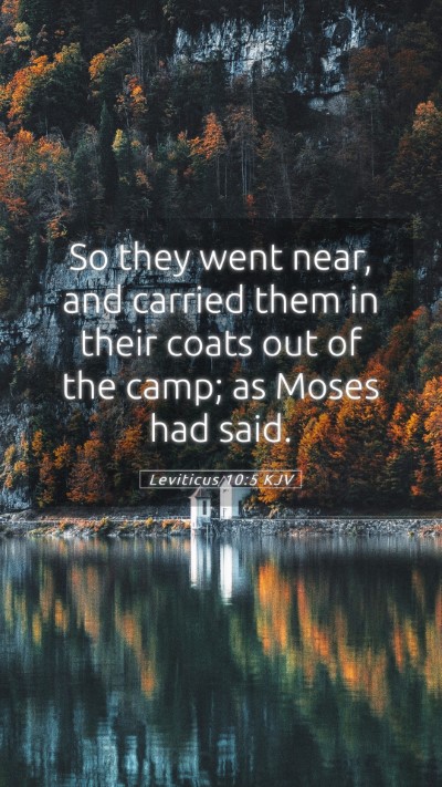 Picture 05 - Leviticus 10:5 KJV Mobile Phone Wallpaper - So they went near, and carried them in their - Mobile Bible Verse Wallpaper