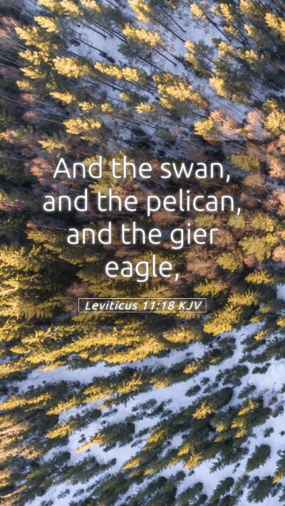 Picture 05 - Leviticus 11:18 KJV Mobile Phone Wallpaper - And the swan, and the pelican, and the gier - Mobile Bible Verse Wallpaper