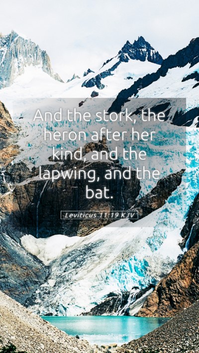 Picture 05 - Leviticus 11:19 KJV Mobile Phone Wallpaper - And the stork, the heron after her kind, and the - Mobile Bible Verse Wallpaper