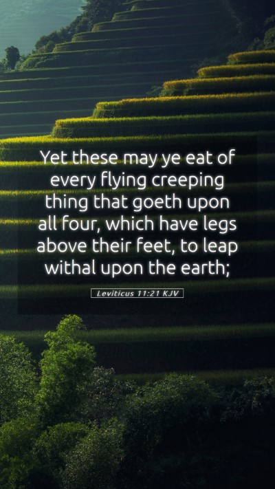 Picture 05 - Leviticus 11:21 KJV Mobile Phone Wallpaper - Yet these may ye eat of every flying creeping - Mobile Bible Verse Wallpaper