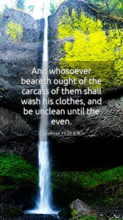 Picture 05 - Leviticus 11:25 KJV Mobile Phone Wallpaper - And whosoever beareth ought of the carcass of - Mobile Bible Verse Wallpaper