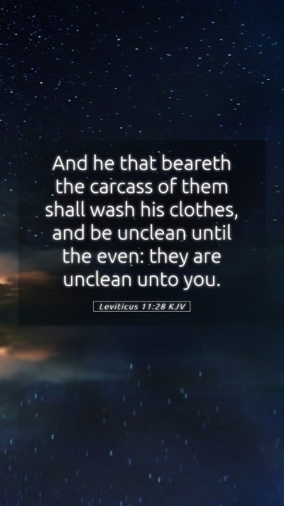 Picture 05 - Leviticus 11:28 KJV Mobile Phone Wallpaper - And he that beareth the carcass of them shall - Mobile Bible Verse Wallpaper