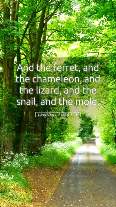 Picture 05 - Leviticus 11:30 KJV Mobile Phone Wallpaper - And the ferret, and the chameleon, and the - Mobile Bible Verse Wallpaper