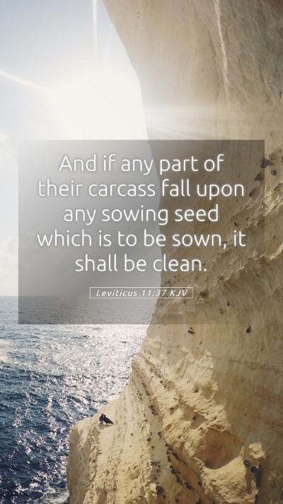 Picture 05 - Leviticus 11:37 KJV Mobile Phone Wallpaper - And if any part of their carcass fall upon any - Mobile Bible Verse Wallpaper