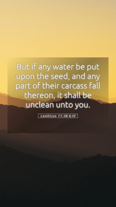 Picture 05 - Leviticus 11:38 KJV Mobile Phone Wallpaper - But if any water be put upon the seed, and any - Mobile Bible Verse Wallpaper