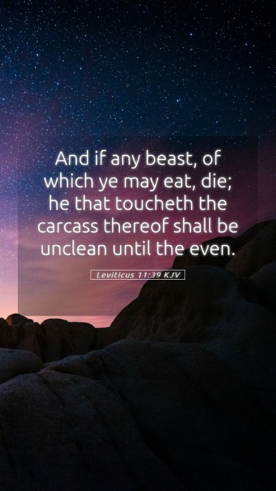 Picture 05 - Leviticus 11:39 KJV Mobile Phone Wallpaper - And if any beast, of which ye may eat, die; he - Mobile Bible Verse Wallpaper