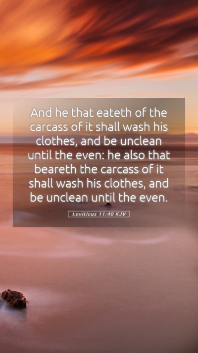 Picture 05 - Leviticus 11:40 KJV Mobile Phone Wallpaper - And he that eateth of the carcass of it shall - Mobile Bible Verse Wallpaper