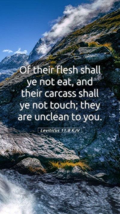 Picture 05 - Leviticus 11:8 KJV Mobile Phone Wallpaper - Of their flesh shall ye not eat, and their - Mobile Bible Verse Wallpaper