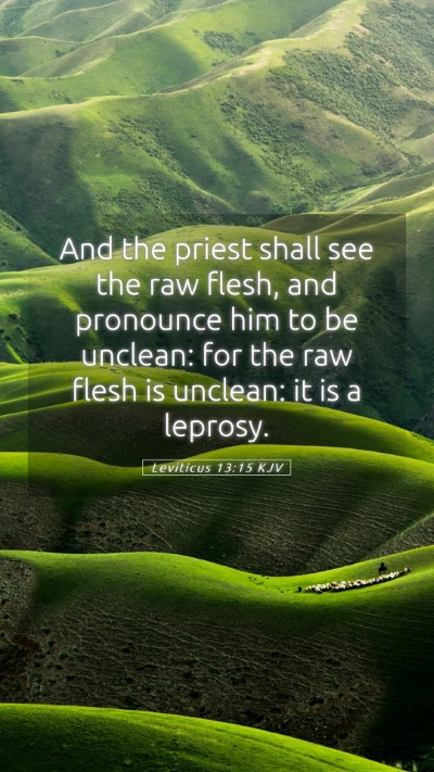 Picture 05 - Leviticus 13:15 KJV Mobile Phone Wallpaper - And the priest shall see the raw flesh, and - Mobile Bible Verse Wallpaper