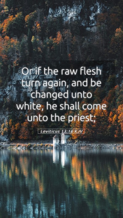 Picture 05 - Leviticus 13:16 KJV Mobile Phone Wallpaper - Or if the raw flesh turn again, and be changed - Mobile Bible Verse Wallpaper