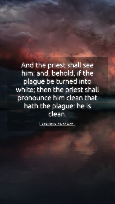Picture 05 - Leviticus 13:17 KJV Mobile Phone Wallpaper - And the priest shall see him: and, behold, if the - Mobile Bible Verse Wallpaper