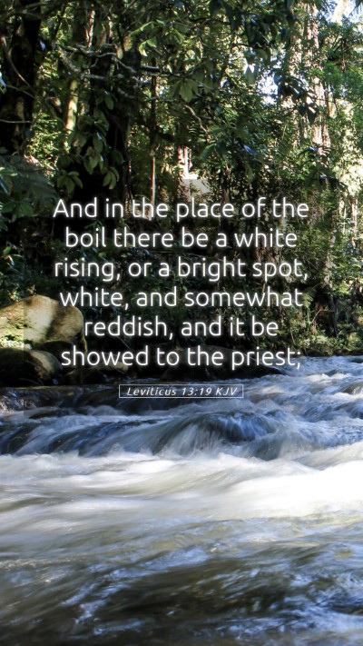 Picture 05 - Leviticus 13:19 KJV Mobile Phone Wallpaper - And in the place of the boil there be a white - Mobile Bible Verse Wallpaper