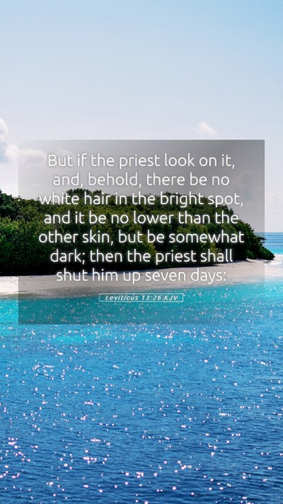 Picture 05 - Leviticus 13:26 KJV Mobile Phone Wallpaper - But if the priest look on it, and, behold, there - Mobile Bible Verse Wallpaper