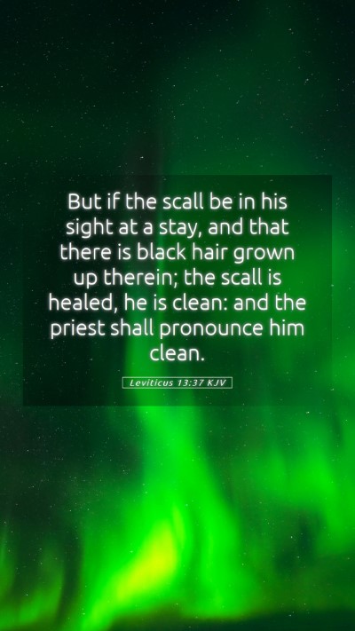 Picture 05 - Leviticus 13:37 KJV Mobile Phone Wallpaper - But if the scall be in his sight at a stay, and - Mobile Bible Verse Wallpaper