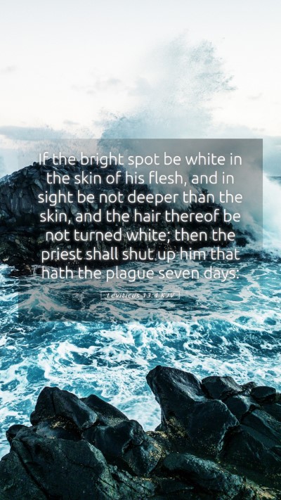 Picture 05 - Leviticus 13:4 KJV Mobile Phone Wallpaper - If the bright spot be white in the skin of his - Mobile Bible Verse Wallpaper