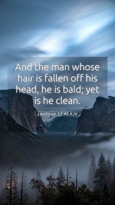 Picture 05 - Leviticus 13:40 KJV Mobile Phone Wallpaper - And the man whose hair is fallen off his head, he - Mobile Bible Verse Wallpaper