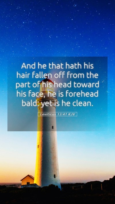 Picture 05 - Leviticus 13:41 KJV Mobile Phone Wallpaper - And he that hath his hair fallen off from the - Mobile Bible Verse Wallpaper