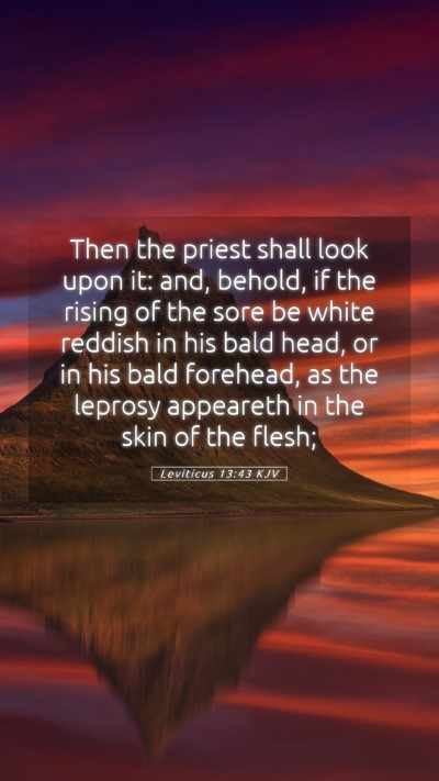 Picture 05 - Leviticus 13:43 KJV Mobile Phone Wallpaper - Then the priest shall look upon it: and, behold, - Mobile Bible Verse Wallpaper