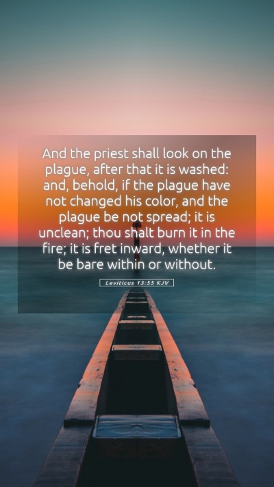Picture 05 - Leviticus 13:55 KJV Mobile Phone Wallpaper - And the priest shall look on the plague, after - Mobile Bible Verse Wallpaper