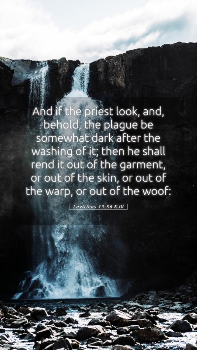 Picture 05 - Leviticus 13:56 KJV Mobile Phone Wallpaper - And if the priest look, and, behold, the plague - Mobile Bible Verse Wallpaper