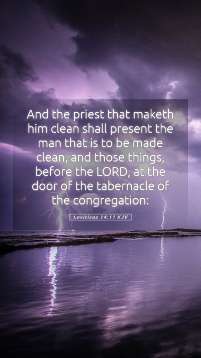 Picture 05 - Leviticus 14:11 KJV Mobile Phone Wallpaper - And the priest that maketh him clean shall - Mobile Bible Verse Wallpaper