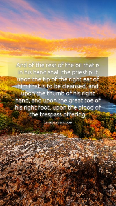 Picture 05 - Leviticus 14:17 KJV Mobile Phone Wallpaper - And of the rest of the oil that is in his hand - Mobile Bible Verse Wallpaper