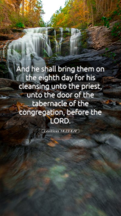 Picture 05 - Leviticus 14:23 KJV Mobile Phone Wallpaper - And he shall bring them on the eighth day for his - Mobile Bible Verse Wallpaper