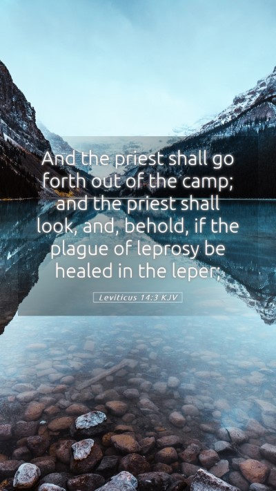 Picture 05 - Leviticus 14:3 KJV Mobile Phone Wallpaper - And the priest shall go forth out of the camp; - Mobile Bible Verse Wallpaper