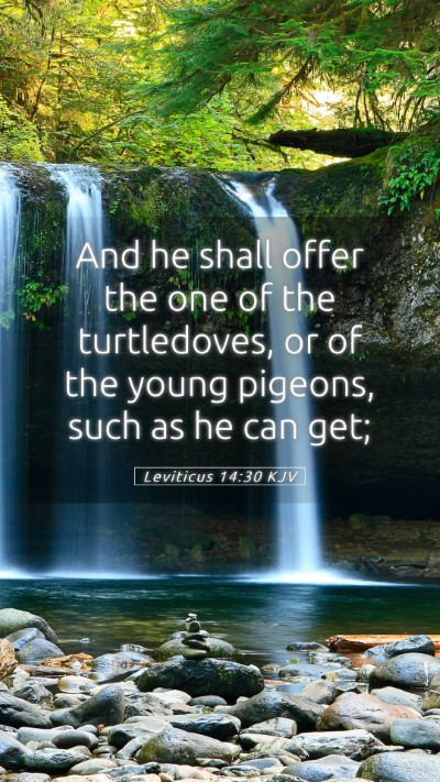 Picture 05 - Leviticus 14:30 KJV Mobile Phone Wallpaper - And he shall offer the one of the turtledoves, or - Mobile Bible Verse Wallpaper