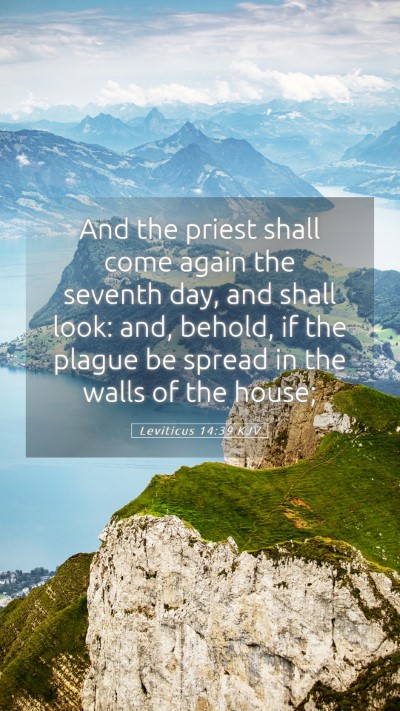 Picture 05 - Leviticus 14:39 KJV Mobile Phone Wallpaper - And the priest shall come again the seventh day, - Mobile Bible Verse Wallpaper