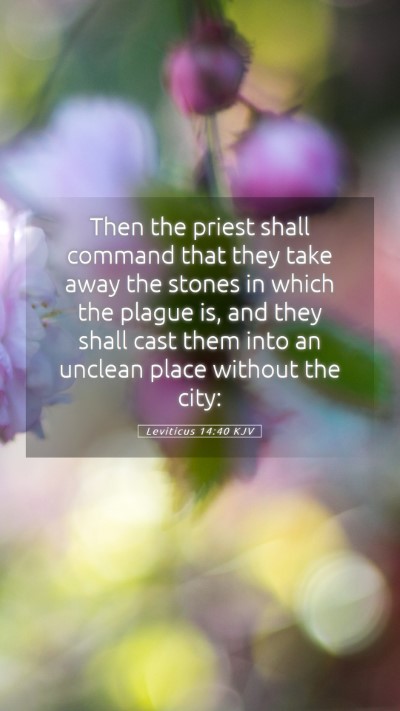 Picture 05 - Leviticus 14:40 KJV Mobile Phone Wallpaper - Then the priest shall command that they take away - Mobile Bible Verse Wallpaper