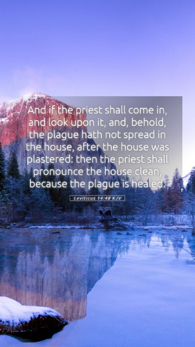 Picture 05 - Leviticus 14:48 KJV Mobile Phone Wallpaper - And if the priest shall come in, and look upon - Mobile Bible Verse Wallpaper