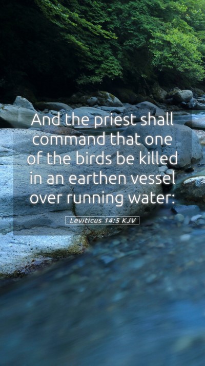 Picture 05 - Leviticus 14:5 KJV Mobile Phone Wallpaper - And the priest shall command that one of the - Mobile Bible Verse Wallpaper