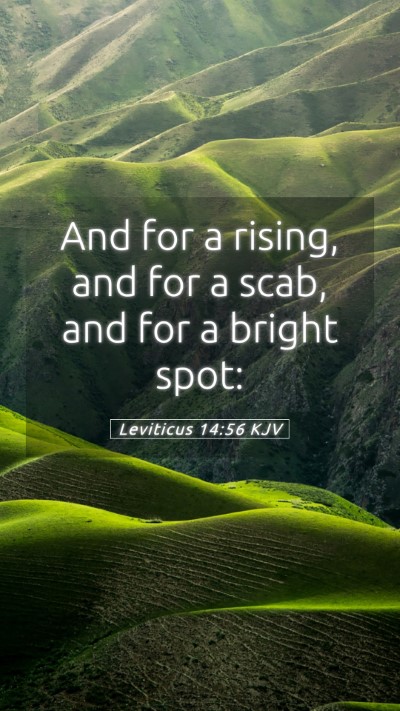 Picture 05 - Leviticus 14:56 KJV Mobile Phone Wallpaper - And for a rising, and for a scab, and for a - Mobile Bible Verse Wallpaper