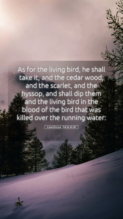 Picture 05 - Leviticus 14:6 KJV Mobile Phone Wallpaper - As for the living bird, he shall take it, and the - Mobile Bible Verse Wallpaper
