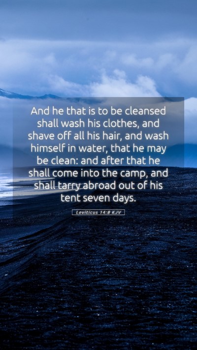 Picture 05 - Leviticus 14:8 KJV Mobile Phone Wallpaper - And he that is to be cleansed shall wash his - Mobile Bible Verse Wallpaper