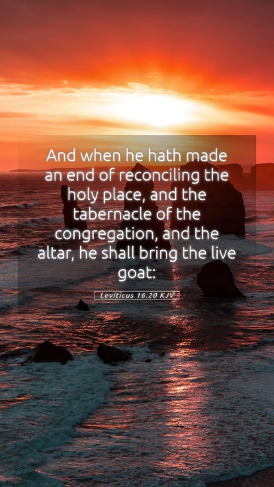 Picture 05 - Leviticus 16:20 KJV Mobile Phone Wallpaper - And when he hath made an end of reconciling the - Mobile Bible Verse Wallpaper