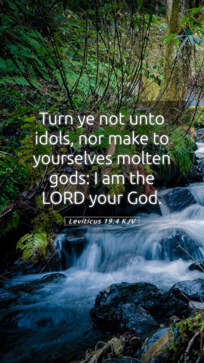 Picture 05 - Leviticus 19:4 KJV Mobile Phone Wallpaper - Turn ye not unto idols, nor make to yourselves - Mobile Bible Verse Wallpaper
