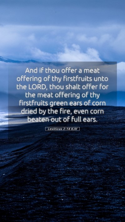 Picture 05 - Leviticus 2:14 KJV Mobile Phone Wallpaper - And if thou offer a meat offering of thy - Mobile Bible Verse Wallpaper