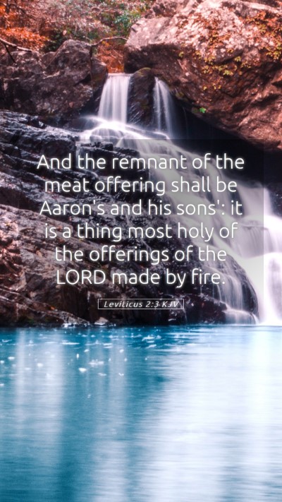 Picture 05 - Leviticus 2:3 KJV Mobile Phone Wallpaper - And the remnant of the meat offering shall be - Mobile Bible Verse Wallpaper
