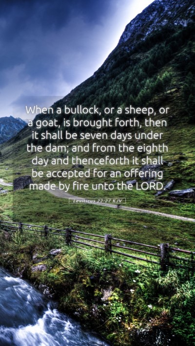 Picture 05 - Leviticus 22:27 KJV Mobile Phone Wallpaper - When a bullock, or a sheep, or a goat, is brought - Mobile Bible Verse Wallpaper