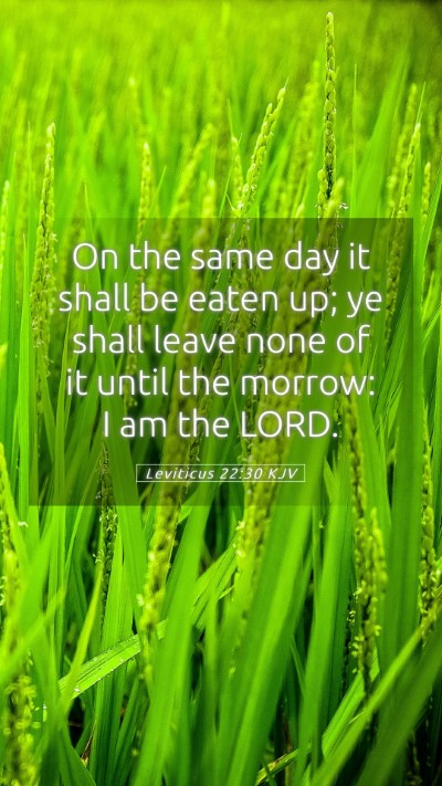 Picture 05 - Leviticus 22:30 KJV Mobile Phone Wallpaper - On the same day it shall be eaten up; ye shall - Mobile Bible Verse Wallpaper