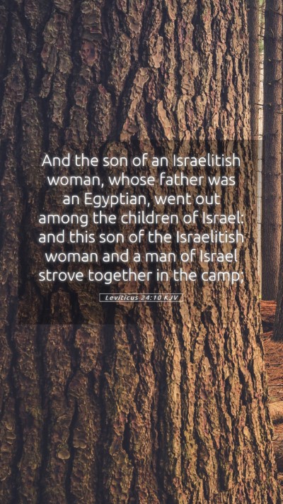 Picture 05 - Leviticus 24:10 KJV Mobile Phone Wallpaper - And the son of an Israelitish woman, whose father - Mobile Bible Verse Wallpaper