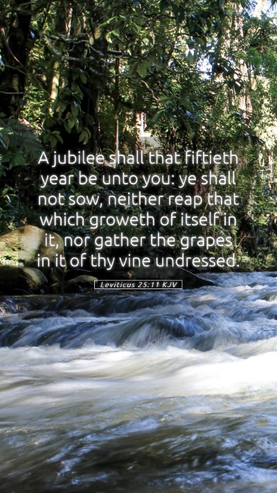 Picture 05 - Leviticus 25:11 KJV Mobile Phone Wallpaper - A jubilee shall that fiftieth year be unto you: - Mobile Bible Verse Wallpaper
