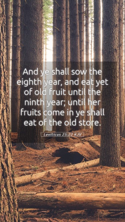 Picture 05 - Leviticus 25:22 KJV Mobile Phone Wallpaper - And ye shall sow the eighth year, and eat yet of - Mobile Bible Verse Wallpaper