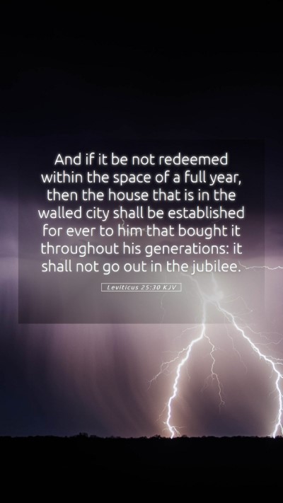 Picture 05 - Leviticus 25:30 KJV Mobile Phone Wallpaper - And if it be not redeemed within the space of a - Mobile Bible Verse Wallpaper
