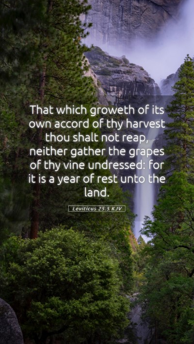 Picture 05 - Leviticus 25:5 KJV Mobile Phone Wallpaper - That which groweth of its own accord of thy - Mobile Bible Verse Wallpaper