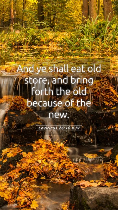 Picture 05 - Leviticus 26:10 KJV Mobile Phone Wallpaper - And ye shall eat old store, and bring forth the - Mobile Bible Verse Wallpaper